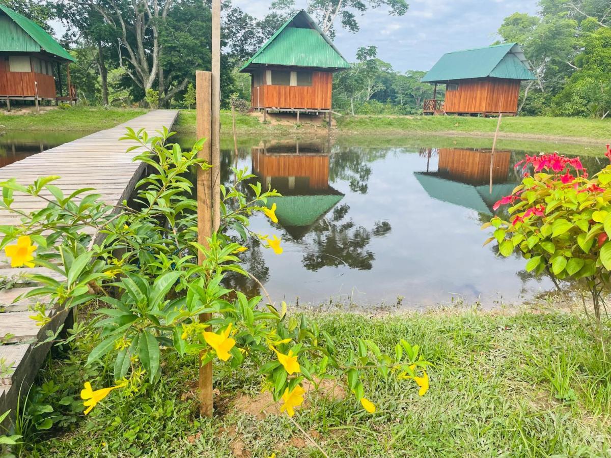 Sunrise Of Tambopata Villa Puerto Maldonado Exterior foto