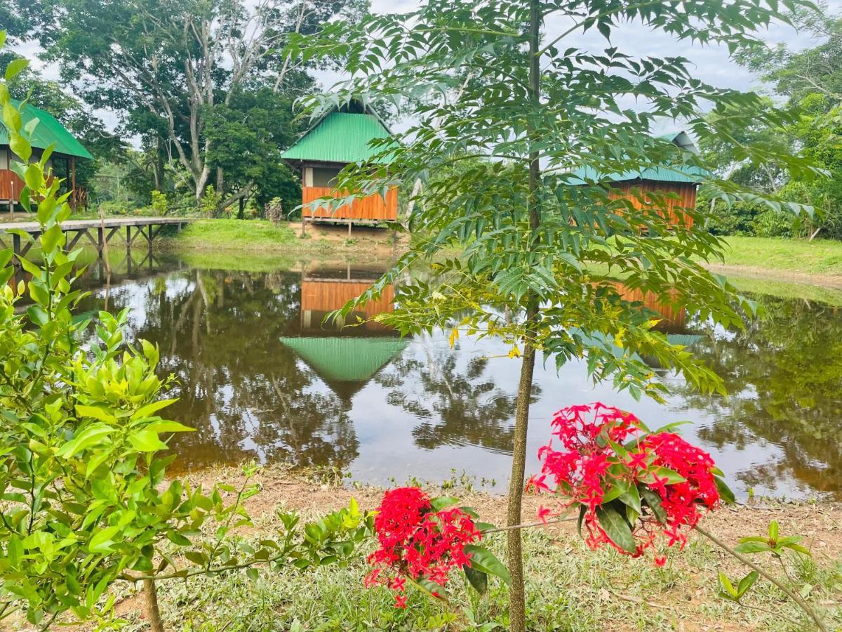 Sunrise Of Tambopata Villa Puerto Maldonado Exterior foto