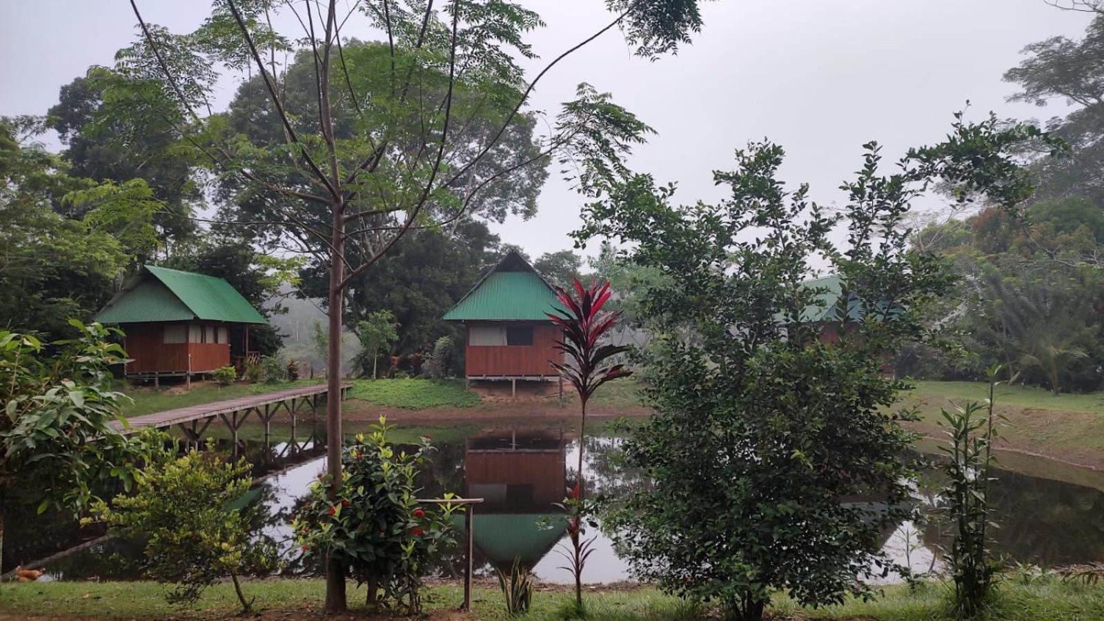 Sunrise Of Tambopata Villa Puerto Maldonado Exterior foto